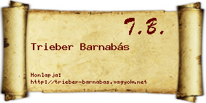Trieber Barnabás névjegykártya