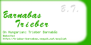 barnabas trieber business card